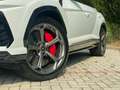 Lamborghini Urus 4.0 - Italiana - Iva - Carbonio - B&O Blanco - thumbnail 9