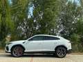 Lamborghini Urus 4.0 - Italiana - Iva - Carbonio - B&O Blanco - thumbnail 8
