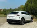 Lamborghini Urus 4.0 - Italiana - Iva - Carbonio - B&O Blanco - thumbnail 5