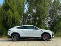 Lamborghini Urus 4.0 - Italiana - Iva - Carbonio - B&O Blanco - thumbnail 4