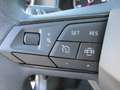 SEAT Ibiza 1,0 Reference Blau - thumbnail 13