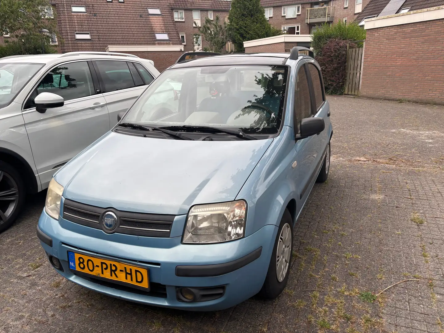 Fiat Panda Panda 1.2 Dynamic Blauw - 1