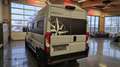 Westfalia Columbus 600E  mit Warmwasserheizung Gris - thumbnail 4