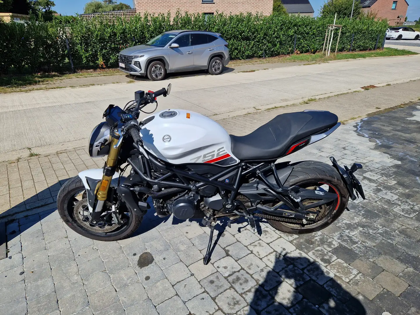 Benelli 752 S P29 Білий - 1