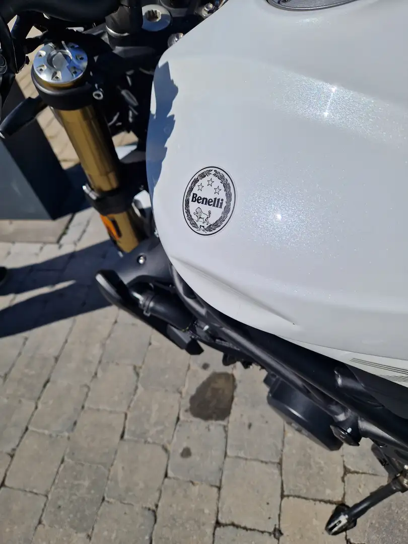 Benelli 752 S P29 Wit - 2
