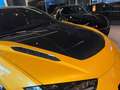 Lamborghini Urus URUS PERFORMANTE Giallo - thumbnail 6