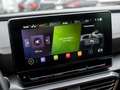 CUPRA Formentor 1.5 TSI AHK SHZ LED BEATS Grau - thumbnail 7