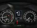 Skoda Scala 1.0 TSI Ambition Aut LED ASSIST R-CAM TEMP Grau - thumbnail 18