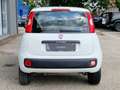 Fiat Panda Panda 0.9 TwinAir Turbo Natural Power Easy Bianco - thumbnail 7