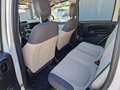 Fiat Panda Panda 0.9 TwinAir Turbo Natural Power Easy Bianco - thumbnail 14