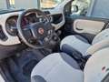 Fiat Panda Panda 0.9 TwinAir Turbo Natural Power Easy Bianco - thumbnail 10