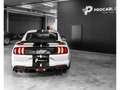 Ford Mustang SHELBY GT500/20/CARBON/RECARO/EXCLUSIVE/PERFORMANC White - thumbnail 15