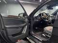 Mercedes-Benz GLS 350 d 4Matic GLS 350 d | AMG PAKET OFF-ROAD TECNIK 7 S Schwarz - thumbnail 10
