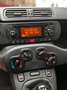 Fiat Panda Panda 1.2 Neopatentati Euro 6 Oranje - thumbnail 9