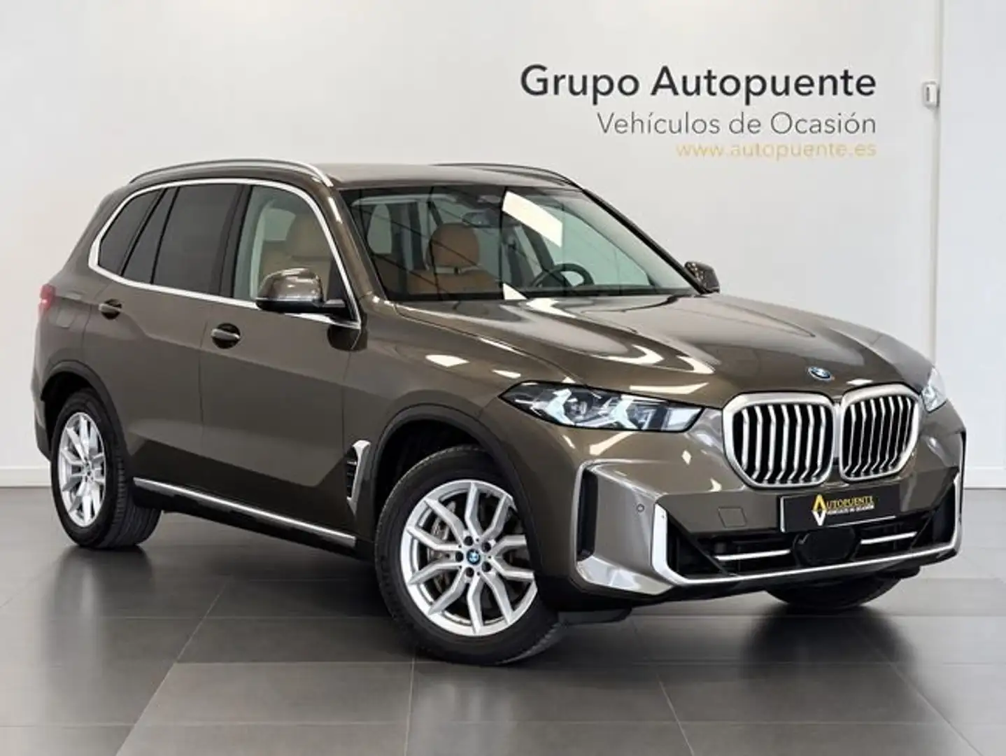 BMW X5 xDrive 50e xLine Gris - 1