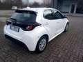 Toyota Yaris 1.0 Active - NESSUN VINCOLO DI FINANZIAMENTO Blanc - thumbnail 2