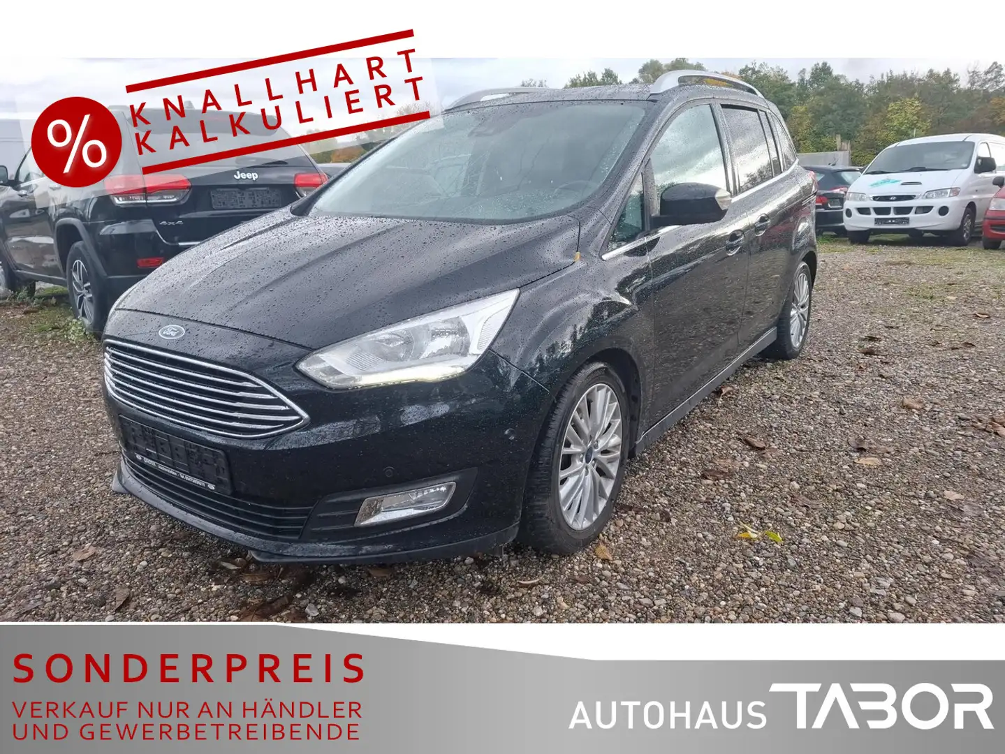 Ford Grand C-Max Grand 1.0 EB 125 Titanium Nai PDC KeyFree Schwarz - 1