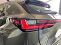 Lexus NX 350h Premium+ 2WD Verde - thumbnail 19