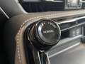 Lexus NX 350h Premium+ 2WD Verde - thumbnail 16