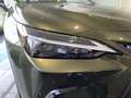 Lexus NX 350h Premium+ 2WD Verde - thumbnail 20