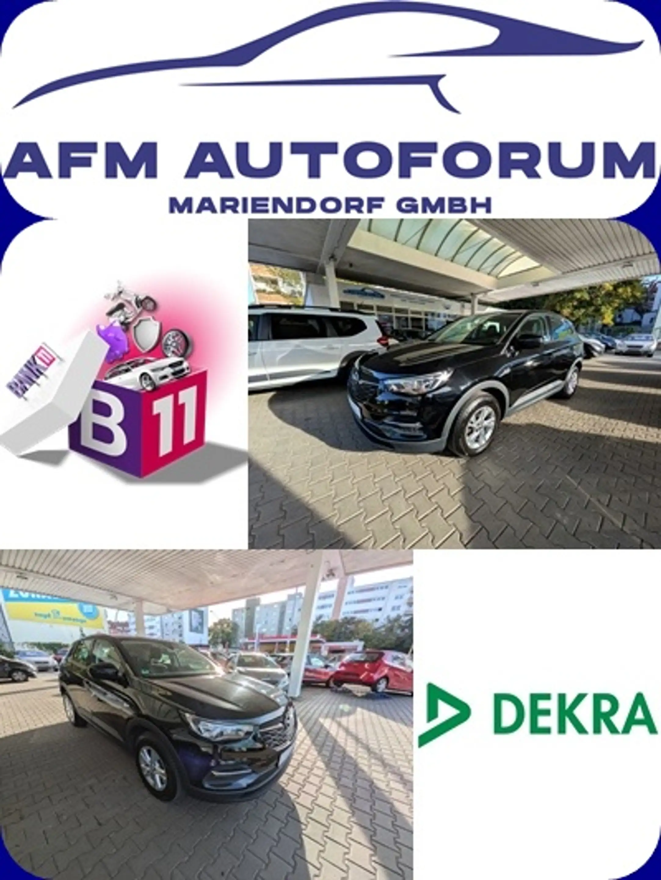 Opel Grandland X Grandland X --1.Hand-TÜV/AU+Service NEU--