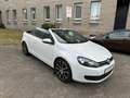 Volkswagen Golf VI Cabriolet Basis BMT MFL Alu Sitzheizung Blanco - thumbnail 14