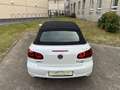 Volkswagen Golf VI Cabriolet Basis BMT MFL Alu Sitzheizung Blanco - thumbnail 10