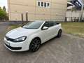 Volkswagen Golf VI Cabriolet Basis BMT MFL Alu Sitzheizung Blanco - thumbnail 6