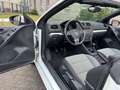 Volkswagen Golf VI Cabriolet Basis BMT MFL Alu Sitzheizung Blanco - thumbnail 24