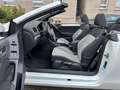 Volkswagen Golf VI Cabriolet Basis BMT MFL Alu Sitzheizung Blanco - thumbnail 23