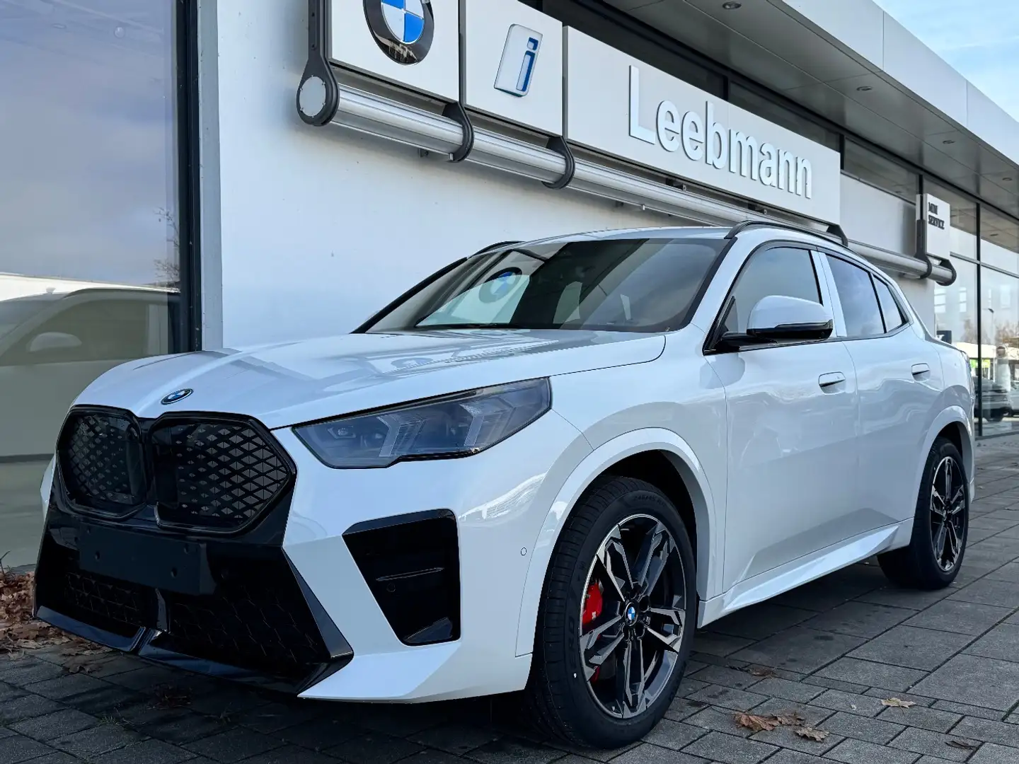 BMW iX2 eDrive20 M-Sportpaket-Pro 19-Zoll/HK/AHK/HUD Weiß - 2