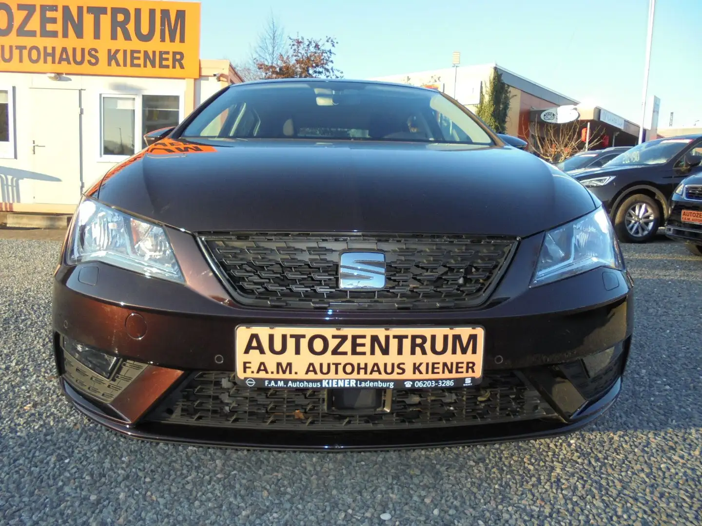 SEAT Leon Style Klima*EPH*Sitzh*Bluet*USB*Garantie Fioletowy - 2