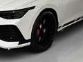 Volkswagen Golf GTI Clubsport 300PS AKRAPOVIC Blanco - thumbnail 20