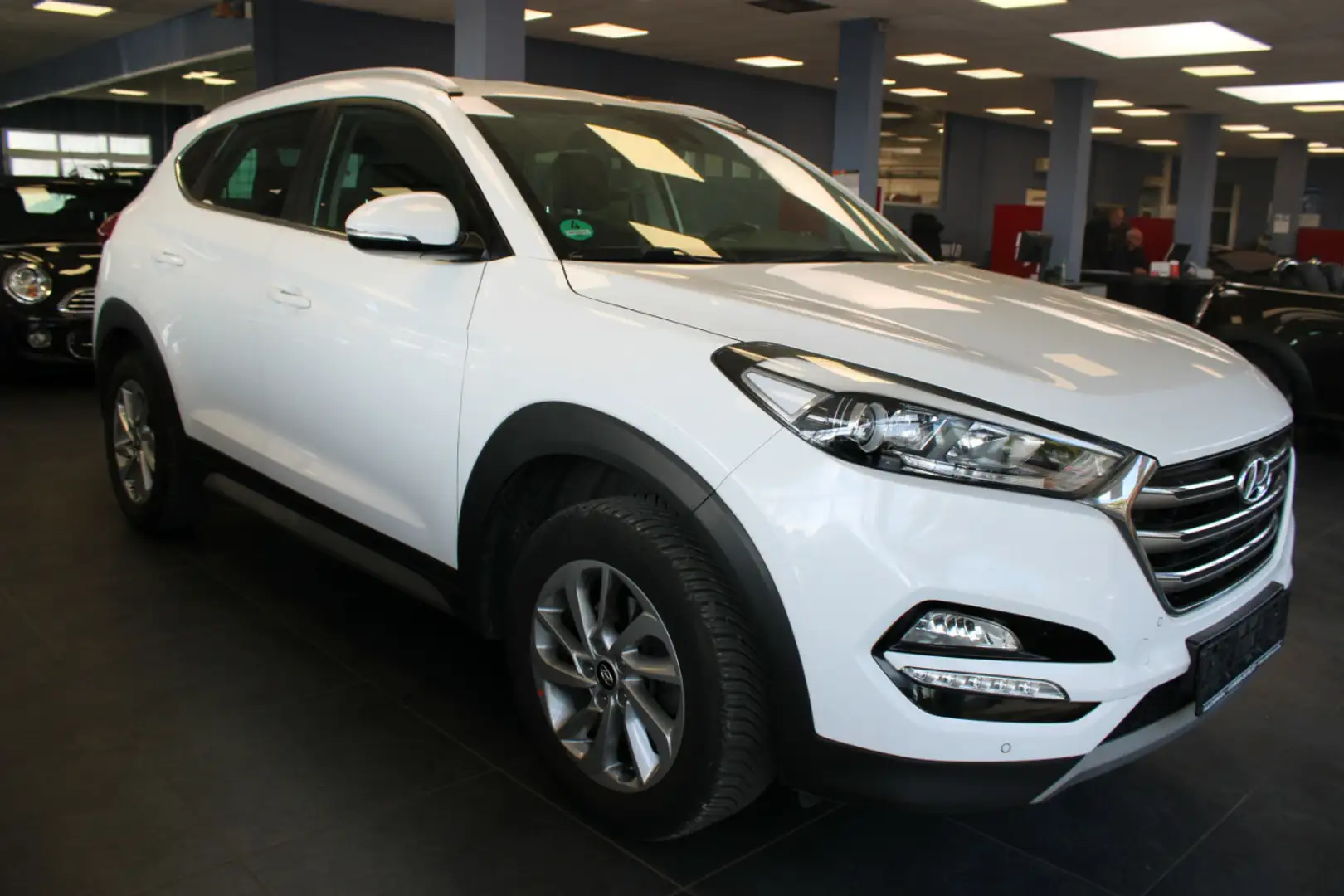 Hyundai TUCSON 1.6 GDi 2WD - AHK - Weiß - 1