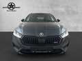 Skoda Octavia 2.0TDI RS LED NAVI LEDER KAMERA HUD AHK Grau - thumbnail 9
