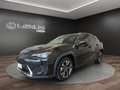 Lexus UX 250h UX 250h 2.0 Premium 2wd cvt Nero - thumbnail 1