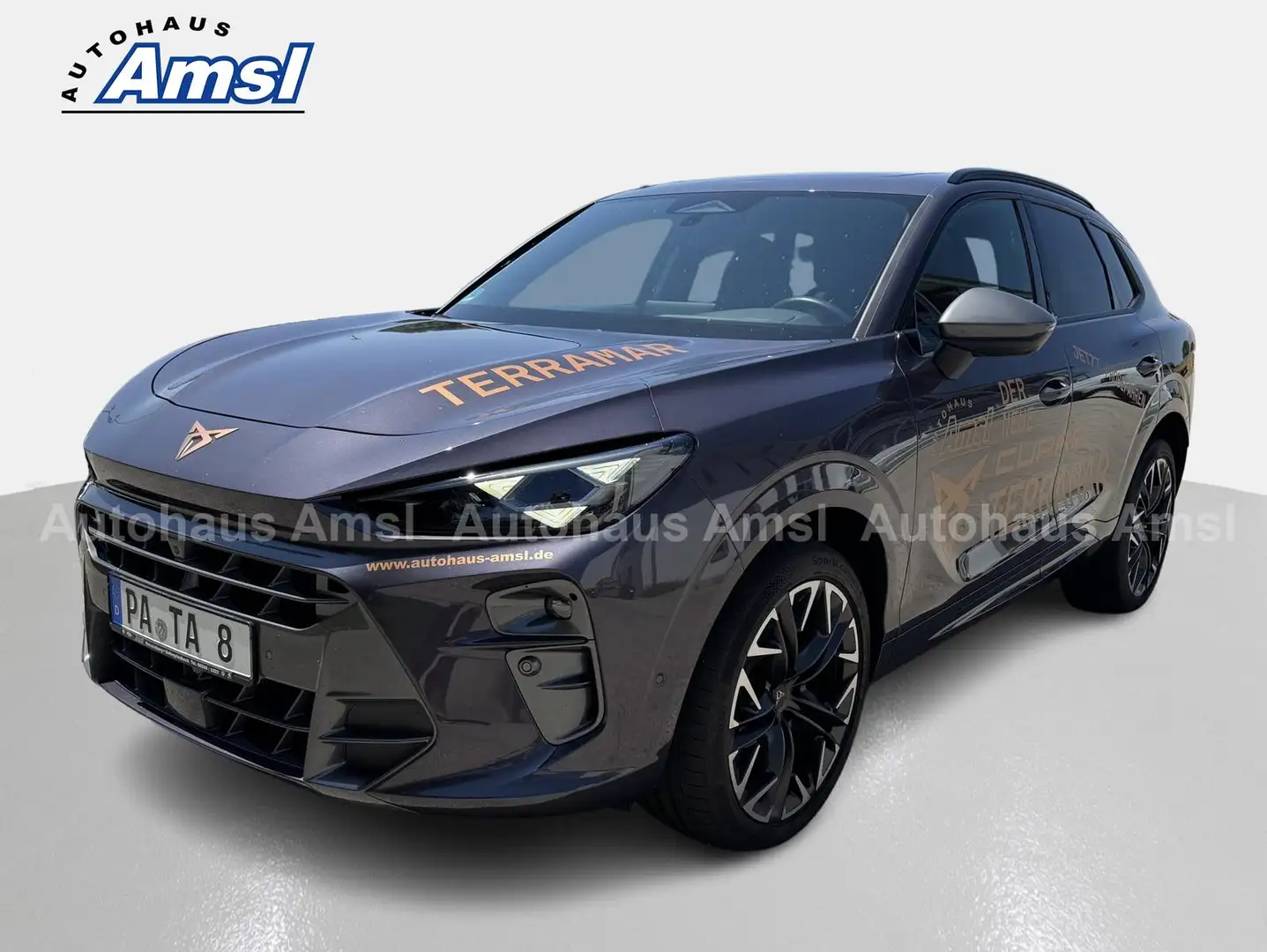 CUPRA Terramar 2.0 TSI VZ 4Drive DSG *HUD*PANO*Matrix* Violett - 2