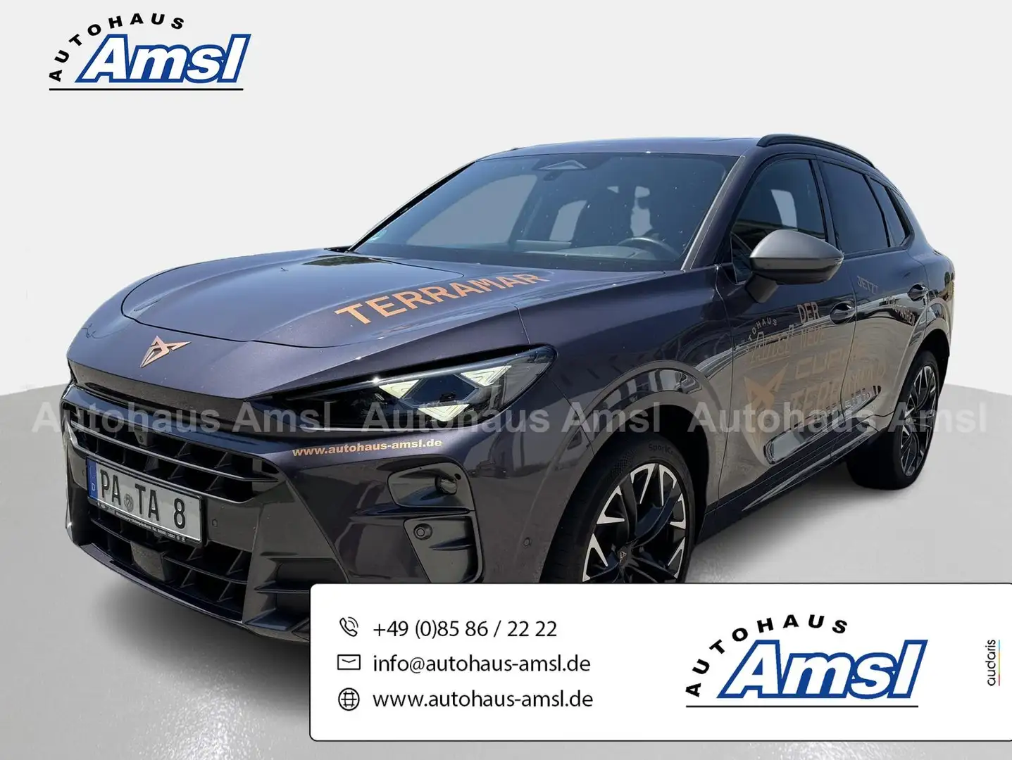 CUPRA Terramar 2.0 TSI VZ 4Drive DSG *HUD*PANO*Matrix* Violett - 1