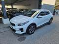 Kia XCeed Xceed 1,0 TGDI GPF Silber Weiß - thumbnail 2