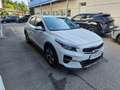 Kia XCeed Xceed 1,0 TGDI GPF Silber Weiß - thumbnail 5