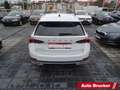 Skoda Octavia Combi Scout 4x4 2.0 TDI Navi Columbus LED Weiß - thumbnail 4