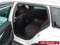Skoda Octavia Combi Scout 4x4 2.0 TDI Navi Columbus LED Weiß - thumbnail 8