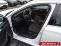 Skoda Octavia Combi Scout 4x4 2.0 TDI Navi Columbus LED Weiß - thumbnail 11