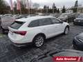 Skoda Octavia Combi Scout 4x4 2.0 TDI Navi Columbus LED Weiß - thumbnail 3