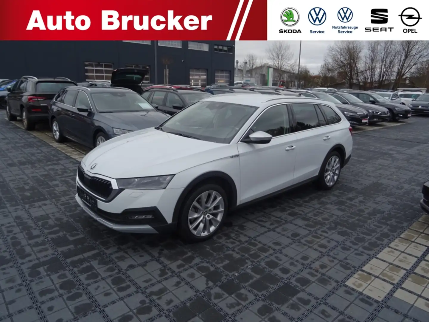 Skoda Octavia Combi Scout 4x4 2.0 TDI Navi Columbus LED Weiß - 1