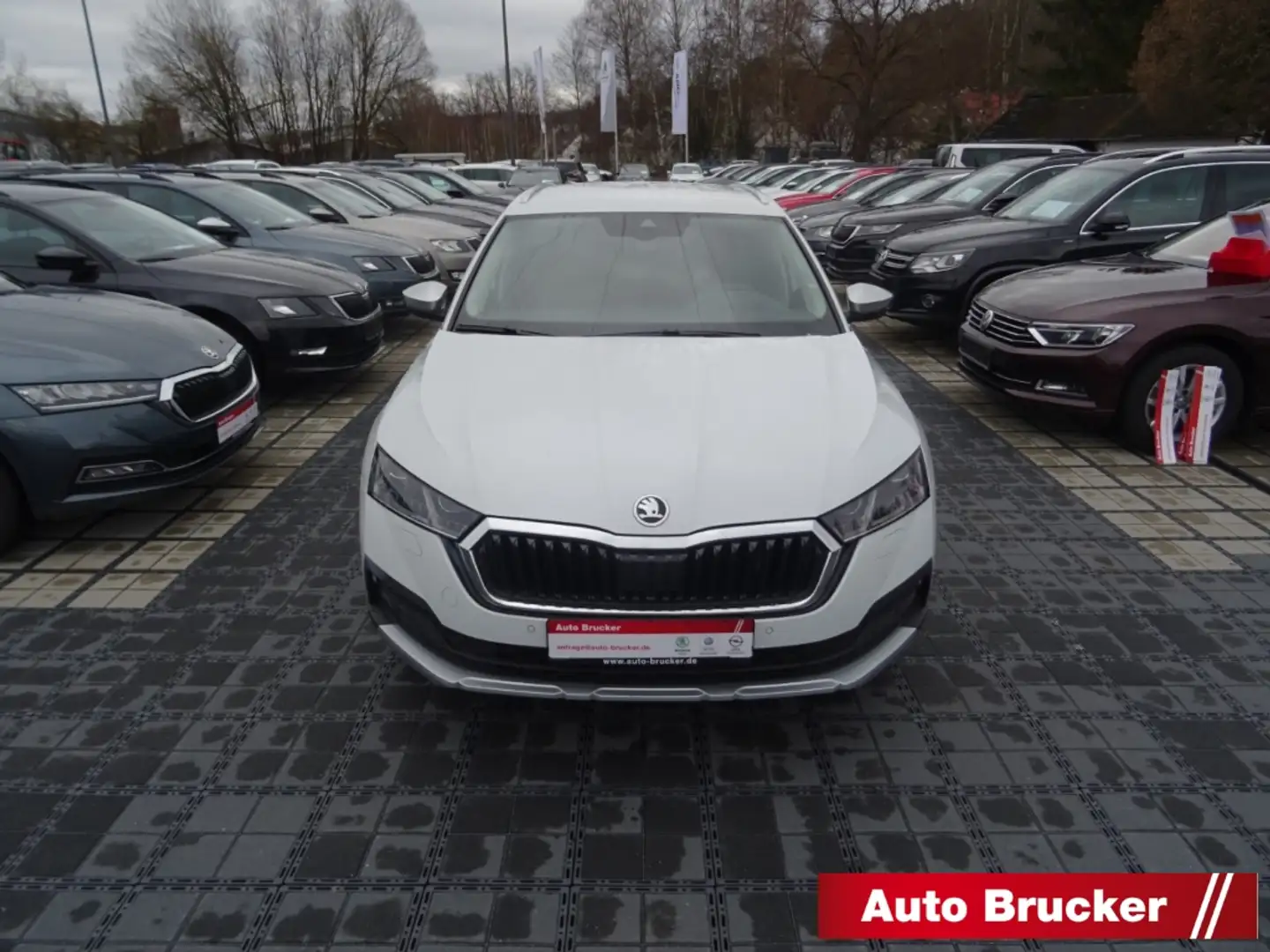 Skoda Octavia Combi Scout 4x4 2.0 TDI Navi Columbus LED Weiß - 2