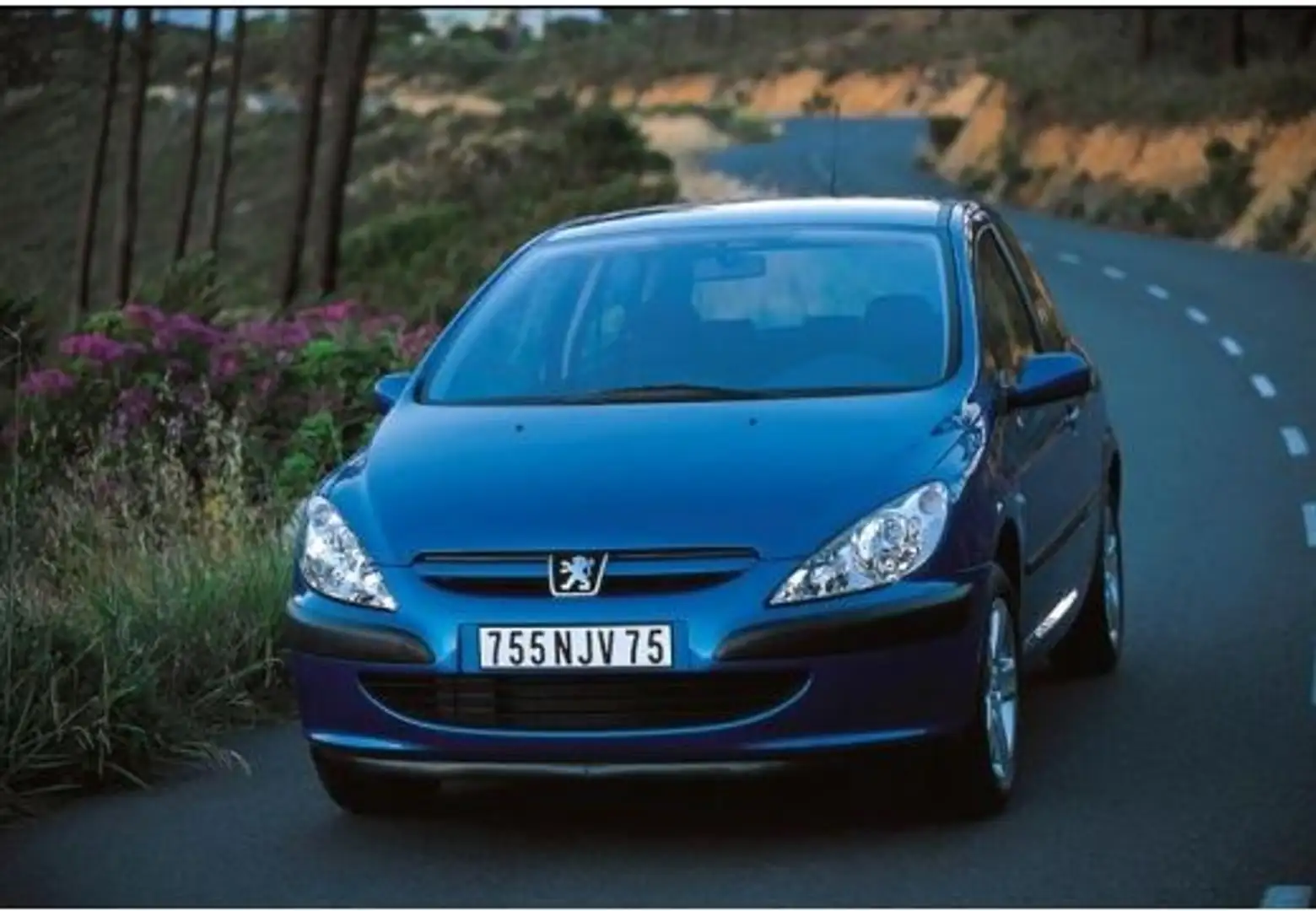 Peugeot 307 1.6i XS Negro - 2