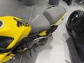 Kawasaki Giallo - thumbnail 4