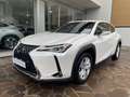 Lexus UX 200 250h 2.0 Business 2wd cvt UNICO PROPRIETARIO Bianco - thumbnail 1