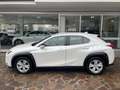 Lexus UX 200 250h 2.0 Business 2wd cvt UNICO PROPRIETARIO Bianco - thumbnail 3